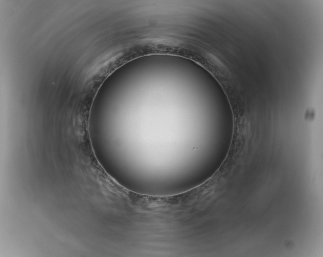 X0000113120774200908281437