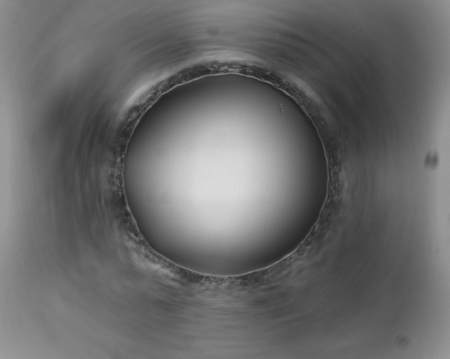 X0000113120775200908281437