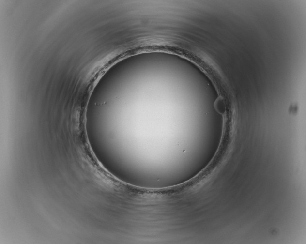 X0000113120777200908281437