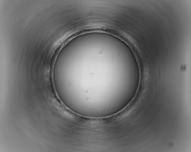 X0000113120778200908281437