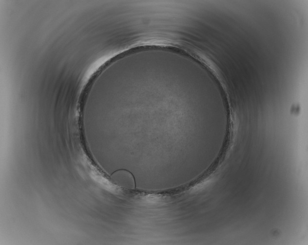 X0000113120779200908281437