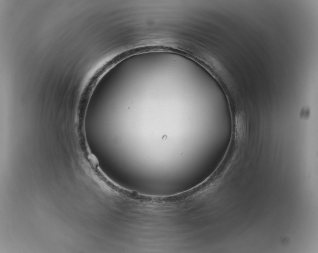 X0000113120780200908281437