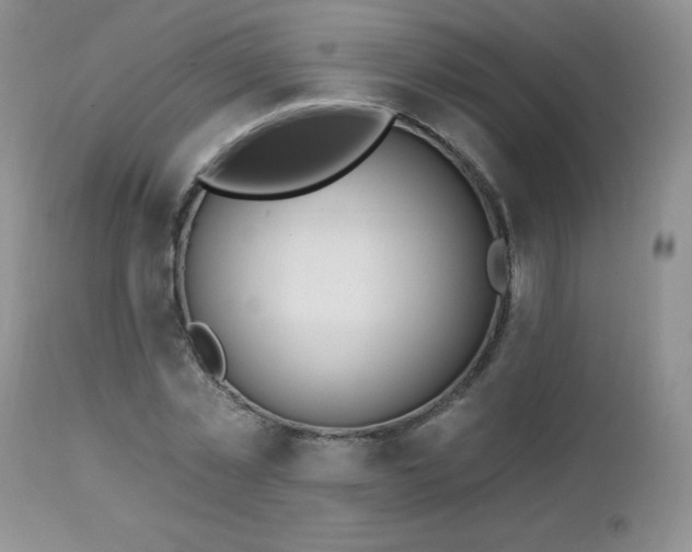 X0000113120781200908281437