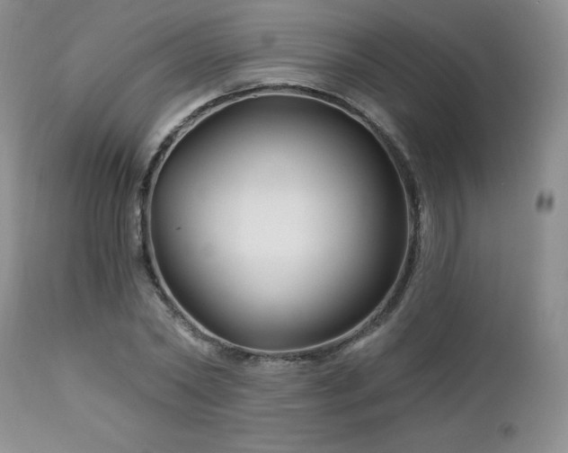 X0000113120782200908281437