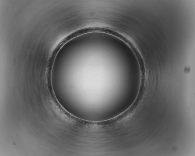 X0000113120783200908281437