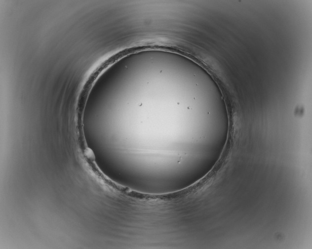 X0000113120784200908281437