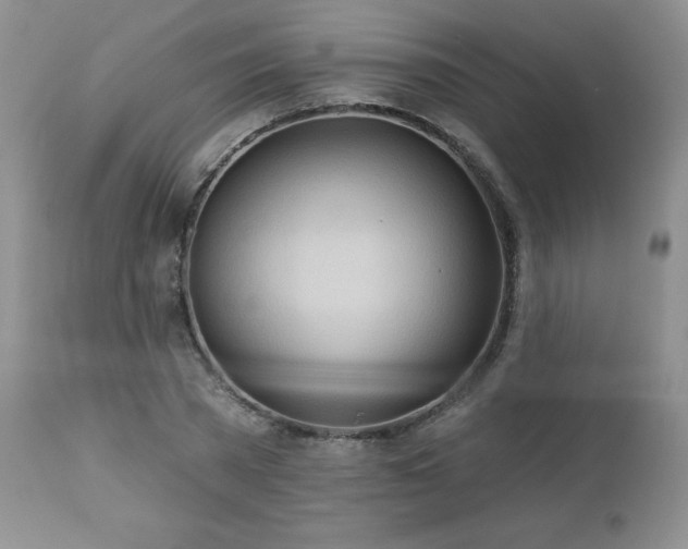 X0000113120785200908281437