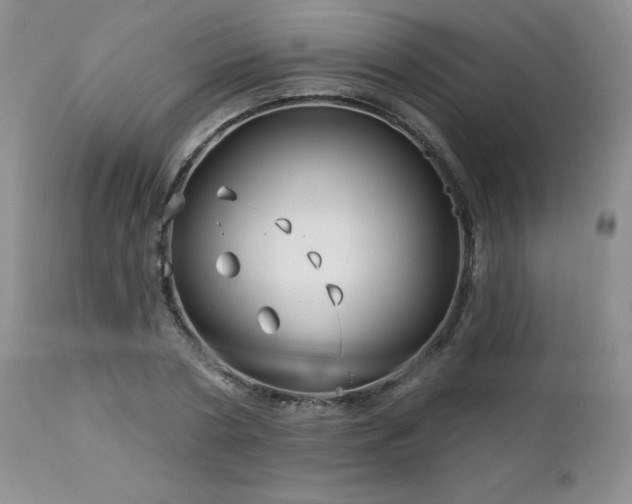 X0000113120786200908281437