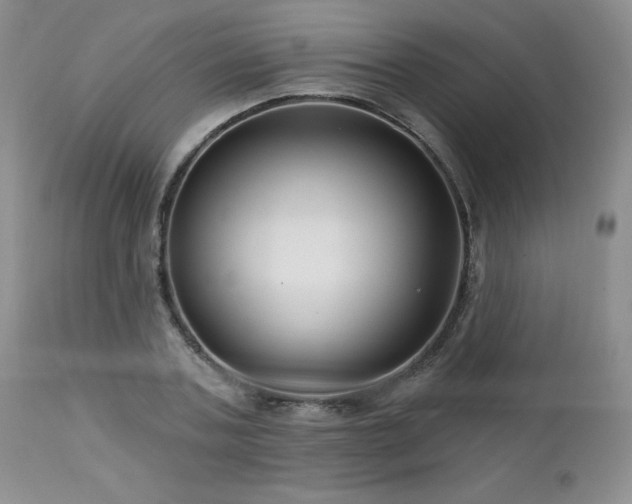 X0000113120787200908281437