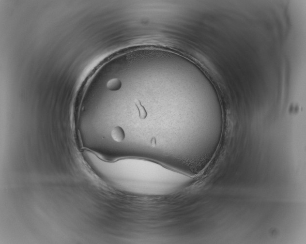 X0000113120788200908281437