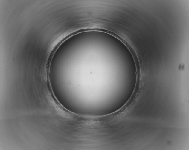 X0000113120789200908281436