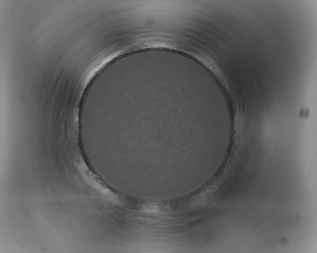 X0000113120790200908281436