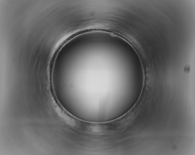 X0000113120792200908281436