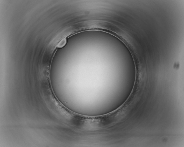 X0000113120793200908281436