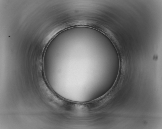 X0000113120794200908281436