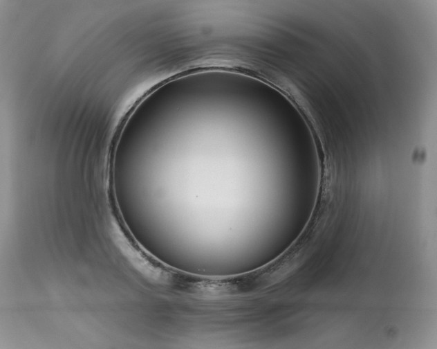 X0000113120795200908281436