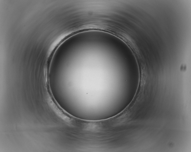 X0000113120796200908281436