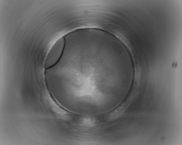 X0000113120797200908281436