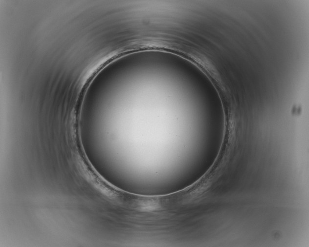 X0000113120798200908281436