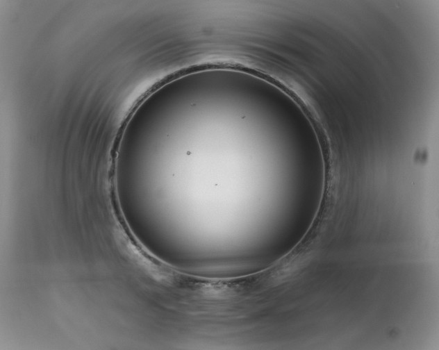 X0000113120799200908281436