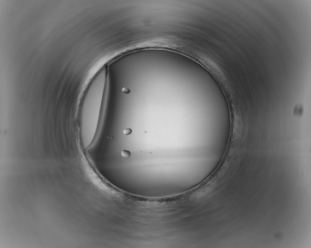 X0000113120800200908281436