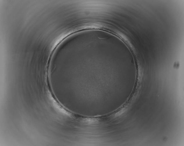 X0000113120802200908281436