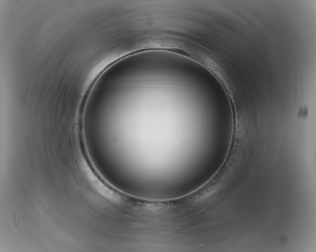 X0000113120803200908281436