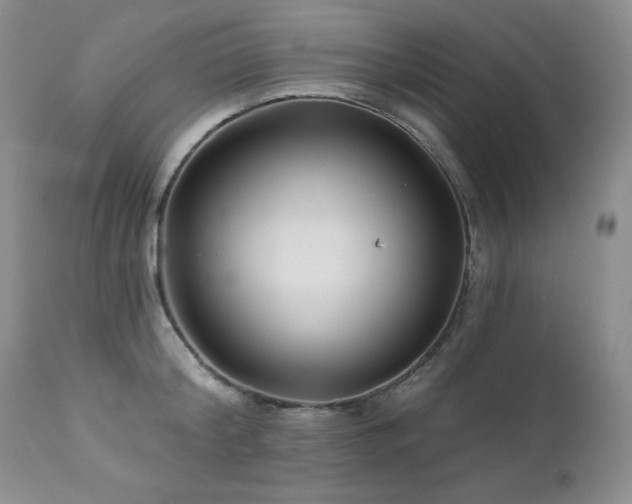 X0000113120804200908281436