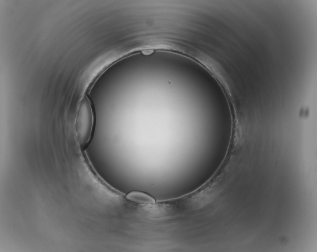 X0000113120805200908281436