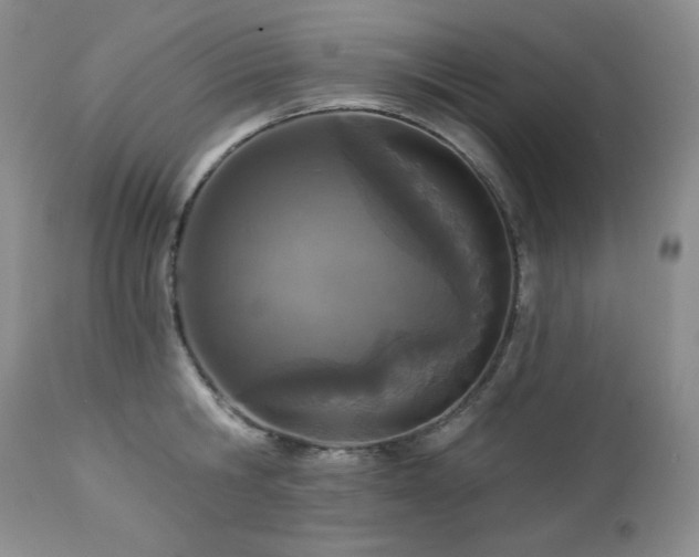 X0000113120806200908281436