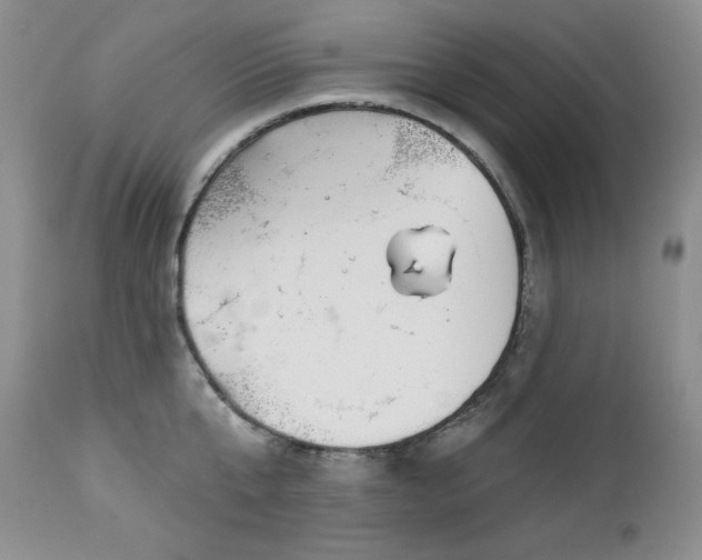 X0000113120807200908281436