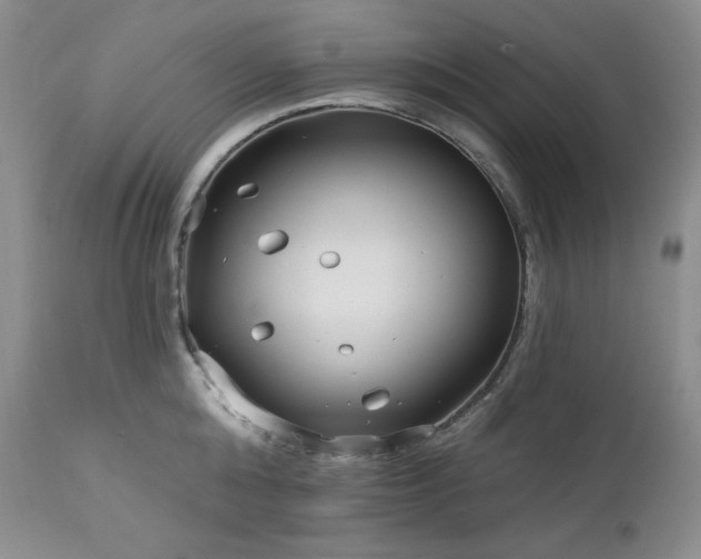 X0000113120808200908281436