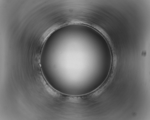 X0000113120809200908281436