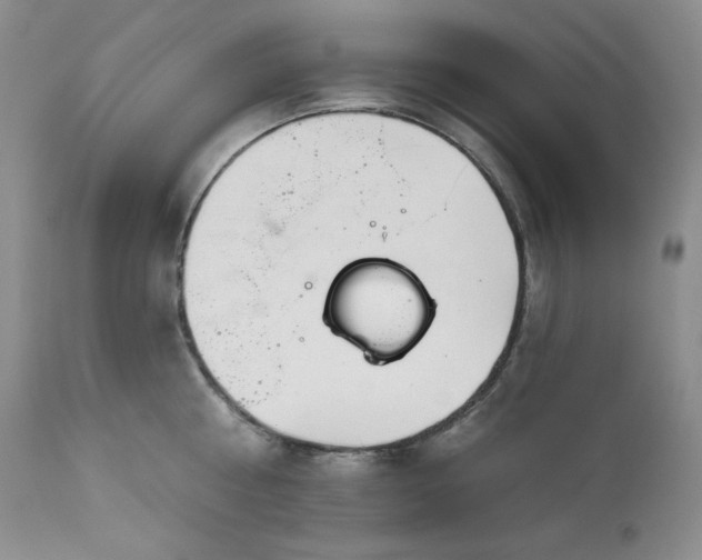 X0000113120810200908281436