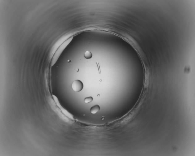 X0000113120812200908281436