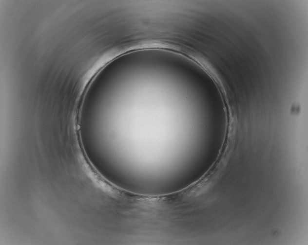 X0000113120813200908281436