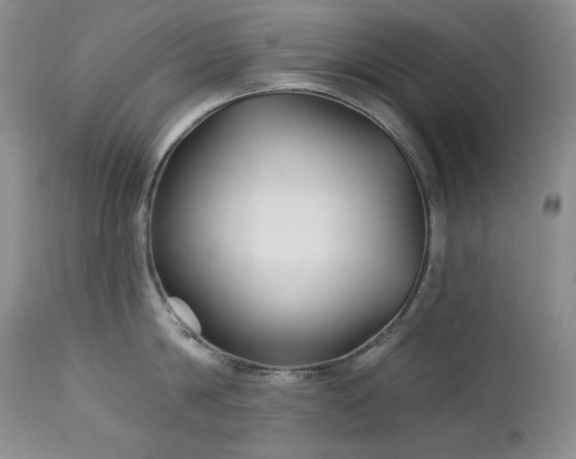 X0000113120814200908281436