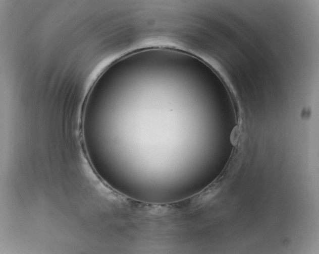 X0000113120815200908281436