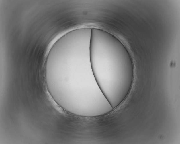 X0000113120816200908281436