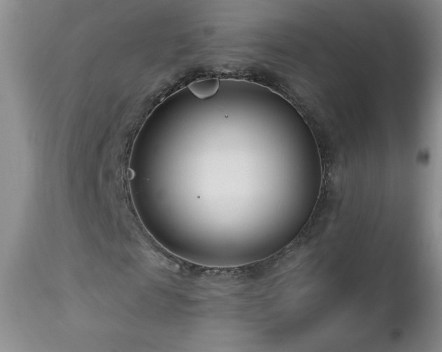 X0000113120817200908281435