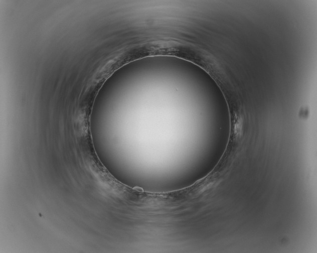 X0000113120819200908281435