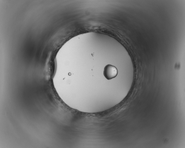 X0000113120820200908281436