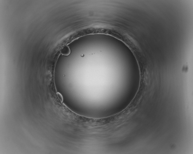 X0000113120821200908281436