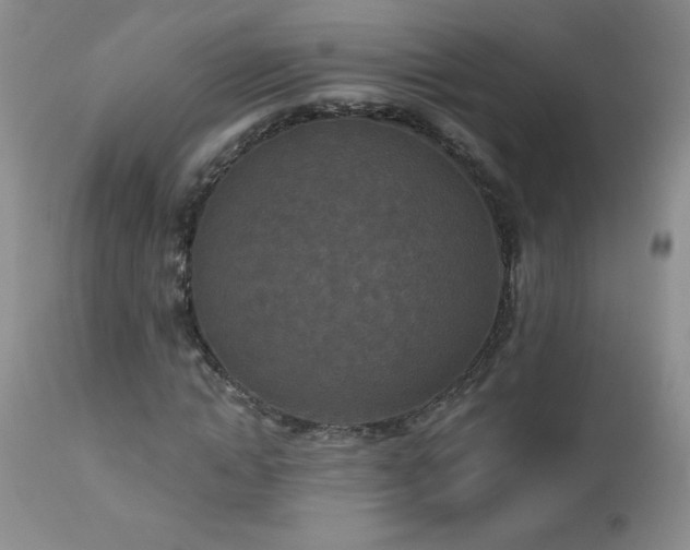 X0000113120822200908281436