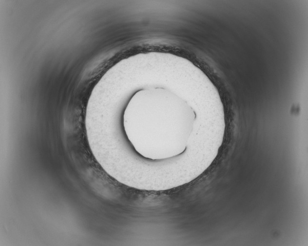 X0000113120824200908281436