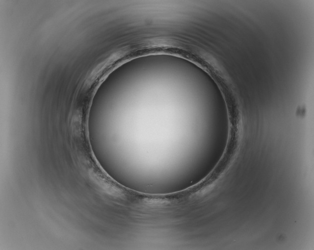 X0000113120825200908281436