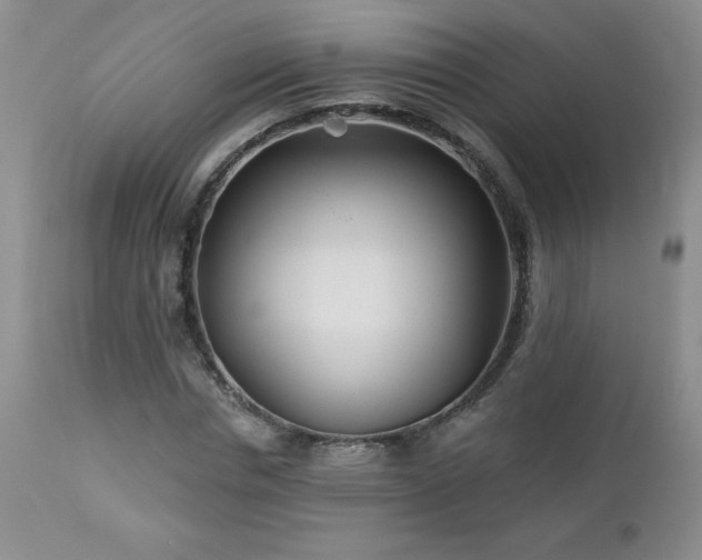 X0000113120826200908281436