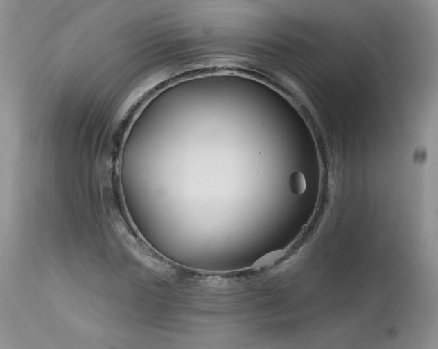 X0000113120827200908281436