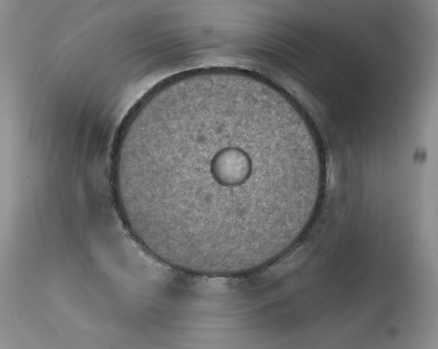 X0000113120828200908281436