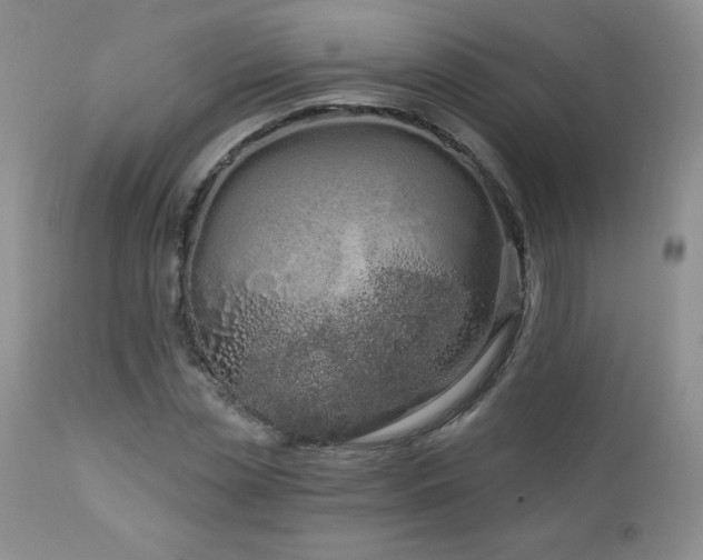 X0000113120829200908281436